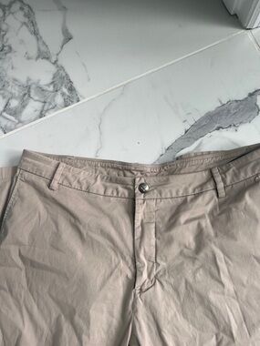 Birddogs Light Taupe Casual Cotton Blend Pants